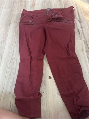 torrid Burgundy Red Skinny Pants with Zip Details